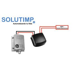 Modulo temporizador para activación de electrocerradura modelo Traba Dog PPA, origen brasil, garantía 6 meses por fallas de fábr