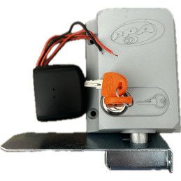 Modulo temporizador para activación de electrocerradura modelo Traba Dog PPA, origen brasil, garantía 6 meses por fallas de fábr