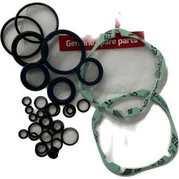 Kit empaquetadura BFT ORO-E BFT Solutimp