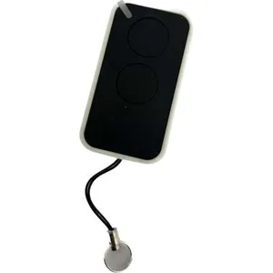 Imagen de Control remoto Yetz 2 botones